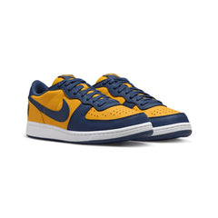 nike_terminator_low_michigan_2023_2