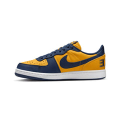 nike_terminator_low_michigan_2023_3