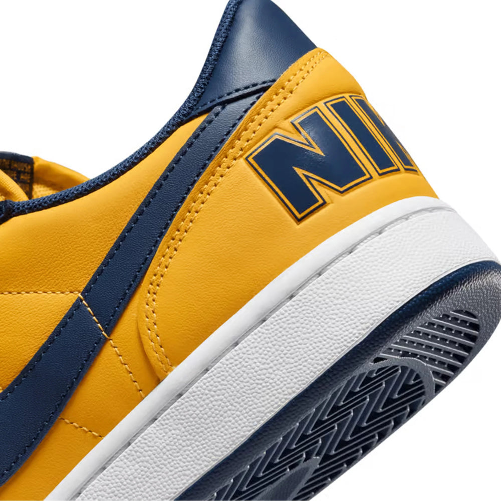 nike_terminator_low_michigan_2023_6