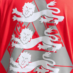 palace_x_nike_england_t_shirt_lt_crimson_2026_4